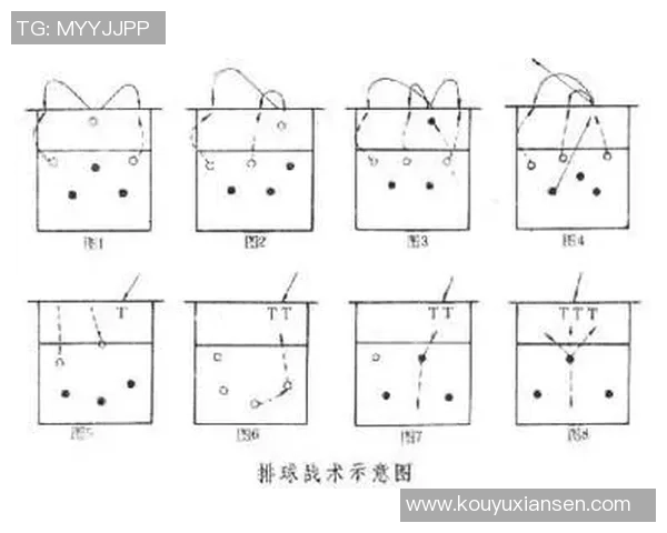 南京排球队进攻体系解析与战术创新探讨