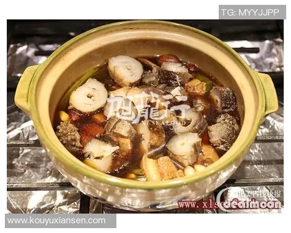 足球明星代言海参背后的故事与健康之道揭秘