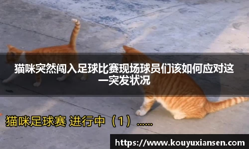 猫咪突然闯入足球比赛现场球员们该如何应对这一突发状况